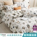 【艾唯家居】床包+枕套 雙人 40支天絲™萊賽爾(雙人床包+2枕頭套) 單人 加大 特大 床單 床包組 台灣製-規格圖11