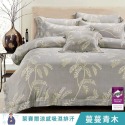 【艾唯家居】台灣製 天絲床包 40支天絲 裸睡首選 單人/雙人/加大/兩用被/被套/枕頭套/床單/被單-規格圖11