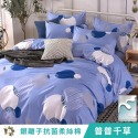 【艾唯家居】鋪棉兩用被 6x7被套 銀離子抗菌防蹣 四季被 冷氣被 涼被 鋪棉被套 被單 棉被 被子 雙人 台灣製-規格圖11