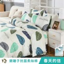 【艾唯家居】雙人被套 180x210cm 銀離子抗菌防蹣 被單 6x7被套 薄被套 有綁帶 現貨 台灣製-規格圖11