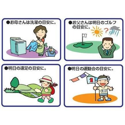 【日本舞鶴馬】代購/現貨 日本製  EMPEX 天氣預報壁掛式 溫溼度計 時鐘 有質感 溫度/溼度計-細節圖4