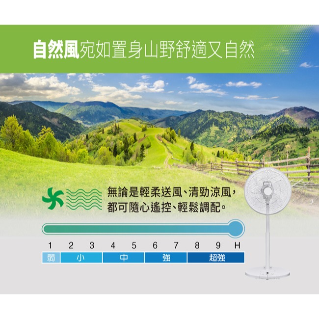 【SANLUX台灣三洋】14吋DC直流遙控電風扇 EF-P14DBS1-細節圖10