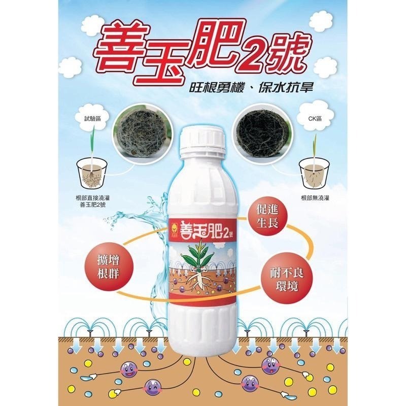 【興農牌】善玉肥2號1L+興農特根生500G組合 促進根系生長開根 木黴菌+菌根菌 土壤益生菌 抗逆境-細節圖2
