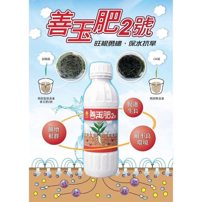 【興農牌】善玉肥2號1L+興農特根生500G組合 促進根系生長開根 木黴菌+菌根菌 土壤益生菌 抗逆境-細節圖2