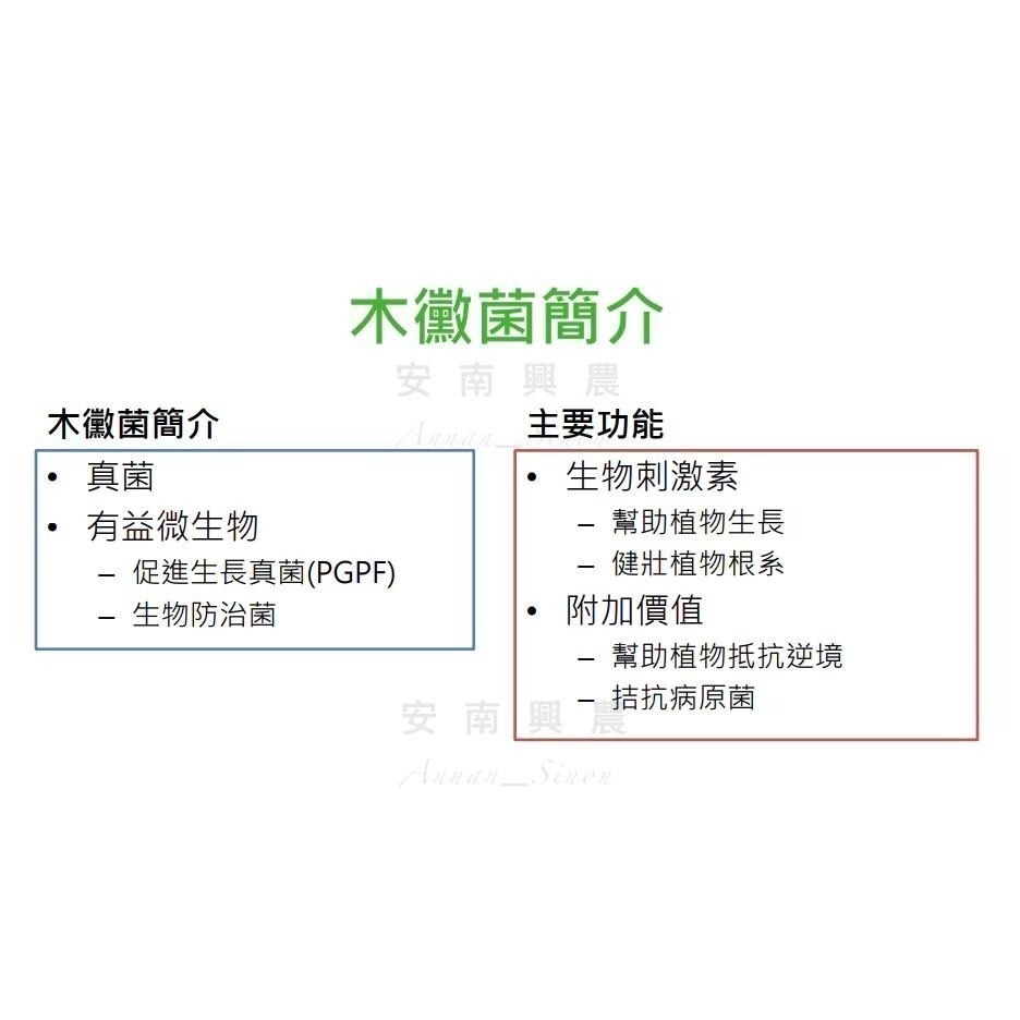 【興農牌】特根生 500G 木黴菌 促進根系生長 提升肥料吸收 土壤益生菌 混合介質 開根粉-細節圖3