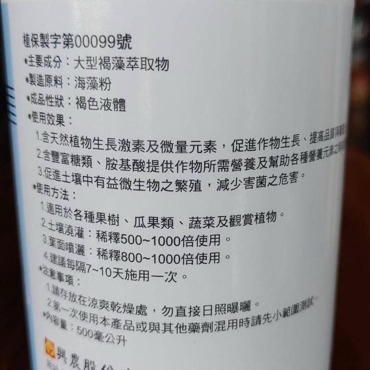 【興農牌】神真水1號+威樂安1號+藻興農組合 玫瑰開花抗病養護組合 抗病+成長+幫助開花(適合玫瑰、蘭花、花卉、果樹等)-細節圖6