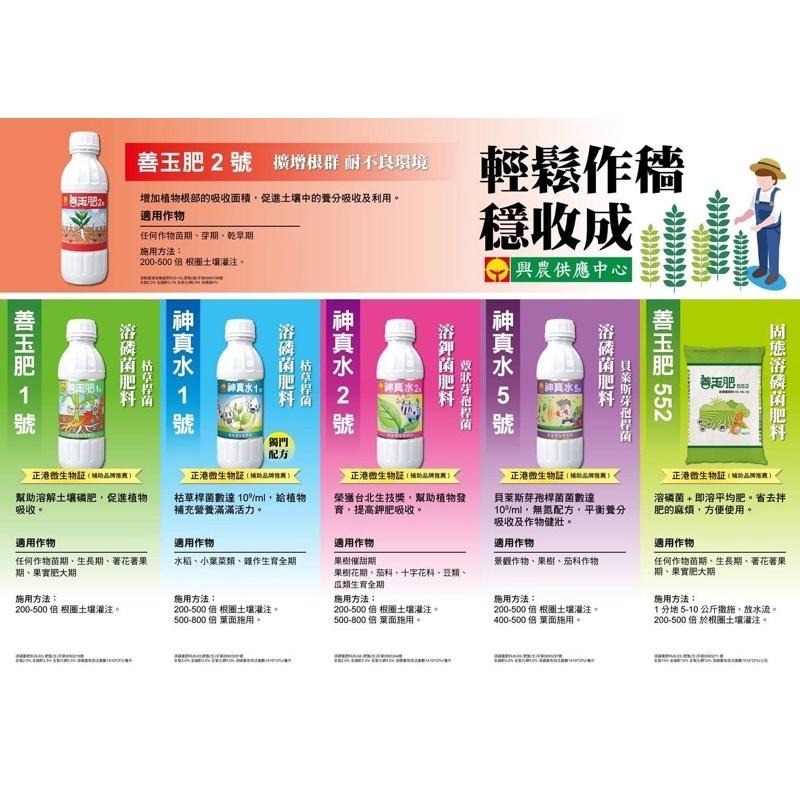 【興農牌】神真水2號500ml+勇壯226 1kg+沃斯鈣鎂 600g 幫助生長+抗病+微量元素 附贈量杯量匙-細節圖6