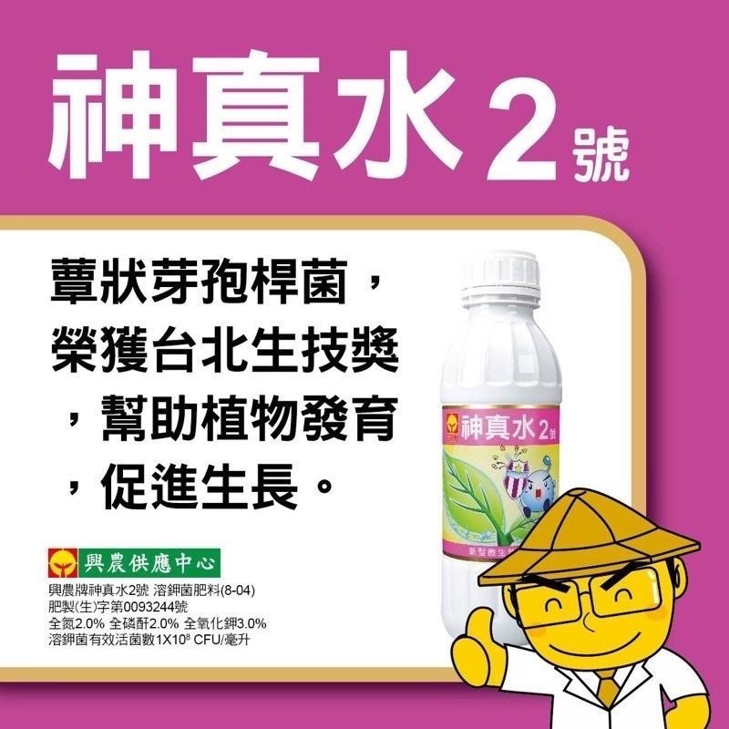 【興農牌】神真水2號500ml+勇壯226 1kg+沃斯鈣鎂 600g 幫助生長+抗病+微量元素 附贈量杯量匙-細節圖2
