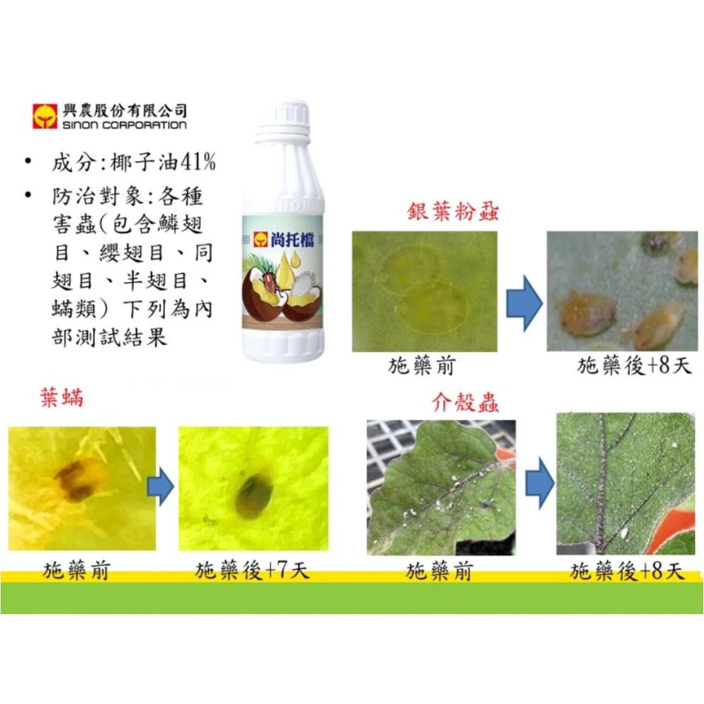 【興農牌】尚托檔 500ML 椰子油 免登資材 天然植物油 防治銀葉粉蝨 介殼蟲 葉蟎 附贈量杯-細節圖2