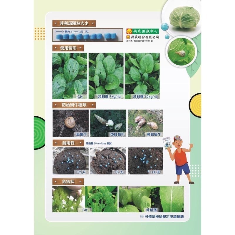 【興農牌】蝸牛剋星組合 興農禾用+菲利瑪 700g茶皂素 磷酸鐵 免登資材 植物性皂鹼 防治蝸牛 蛞蝓 福壽螺 非洲蝸牛-細節圖6