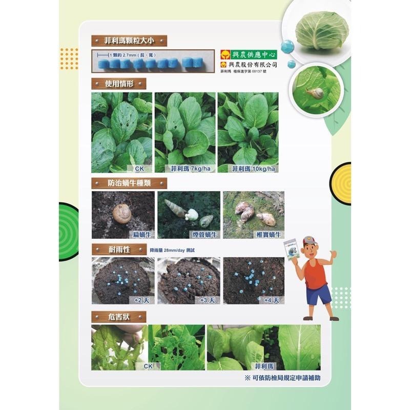 【興農牌】蝸牛剋星組合 興農禾用+菲利瑪 700g茶皂素 磷酸鐵 免登資材 植物性皂鹼 防治蝸牛 蛞蝓 福壽螺 非洲蝸牛-細節圖5