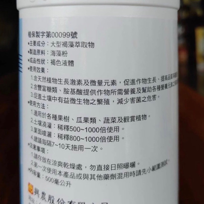 【興農牌】神真水5號+藻興農+肽好用組合 抗病+葉片肥厚+幫助生長及開根  (鹿角蕨 多肉 觀葉植物 玫瑰強力推薦)-細節圖5