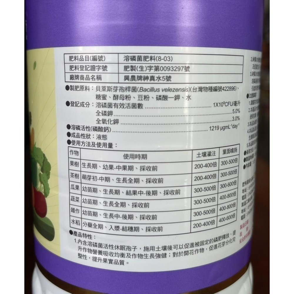 【興農牌】神真水5號+藻興農+肽好用組合 抗病+葉片肥厚+幫助生長及開根  (鹿角蕨 多肉 觀葉植物 玫瑰強力推薦)-細節圖3