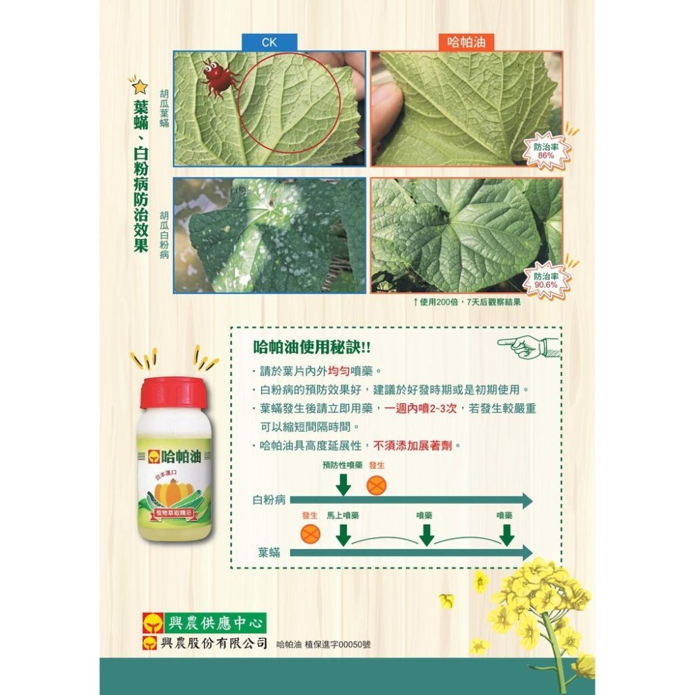 【興農牌】哈帕油 250ML 日本進口 有機 菜籽油 介殼蟲 葉蟎 白粉病 植物保護資材 附贈小量杯-細節圖3