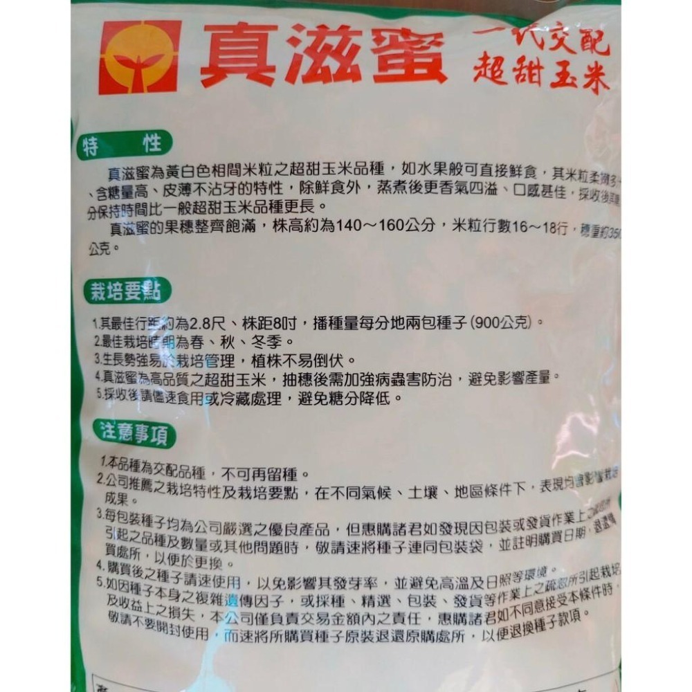 【真滋蜜】超甜雙色水果玉米 種子 450公克 超薄皮 非基改玉米 玉米種子-細節圖2