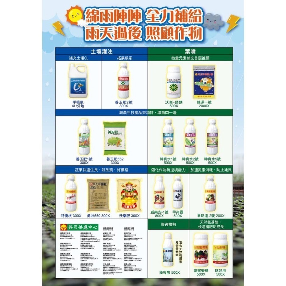 【興農牌】善玉肥552 200公克 溶磷菌肥料15-15-12 改善土壤 促進生長 強健根部-細節圖5