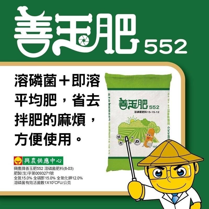 【興農牌】善玉肥552 200公克 溶磷菌肥料15-15-12 改善土壤 幫助開花 促進生長 強健根部-細節圖2