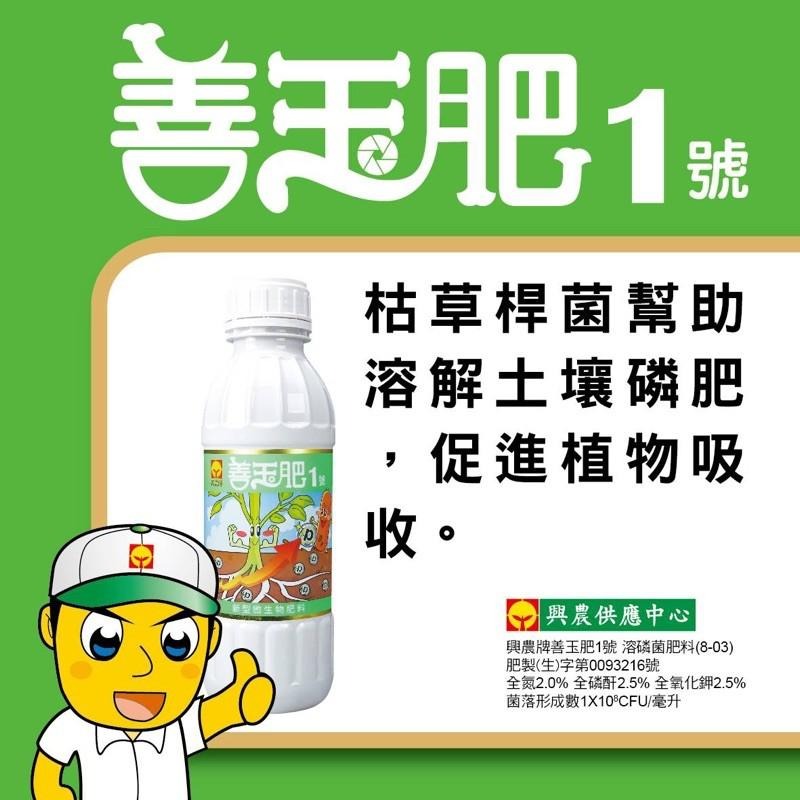 【興農牌】善玉肥1號 1L 微生物 溶磷菌 強健根群 改善土壤環境 (多肉、鹿角蕨、觀葉適用)附贈量杯-細節圖2