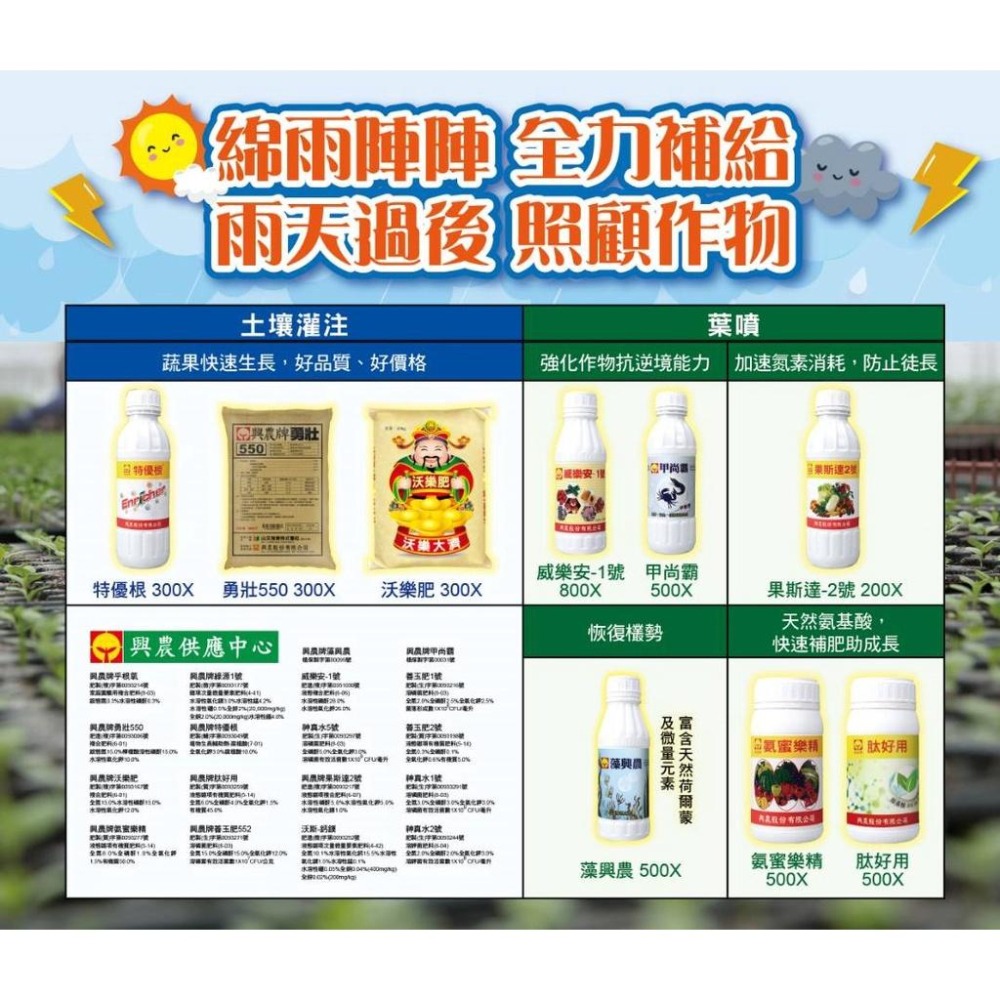 【興農牌】沃斯-鈣鎂 600g 微量元素肥料 鹿角蕨鈣好用 增加細胞壁厚度 增強抗病 缺鈣 附贈量杯-細節圖4