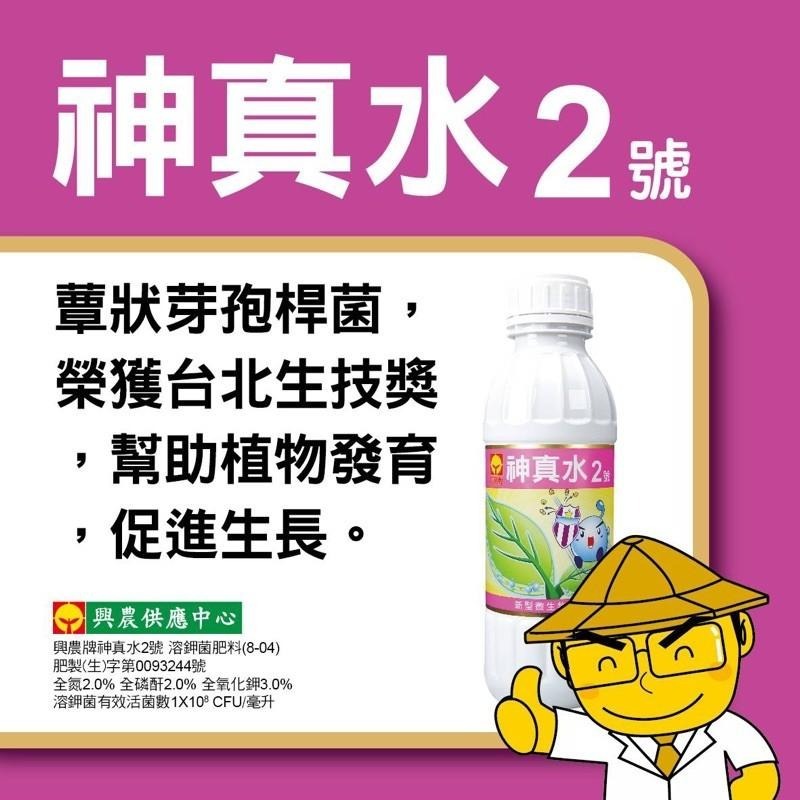 【興農牌】神真水2號 500ML 1L 微生物 溶鉀菌 蕈狀芽孢桿菌 增生植物免疫力 附贈量杯-細節圖2