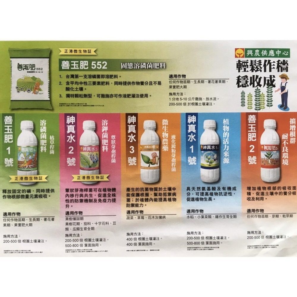 【興農牌】神真水2號 500ML 1L 微生物 溶鉀菌 蕈狀芽孢桿菌 增生植物免疫力 附贈量杯-細節圖6