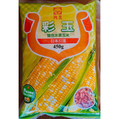 【彩玉】雙色水果玉米 種子 450公克 日本引進黃白相間超甜玉米品種