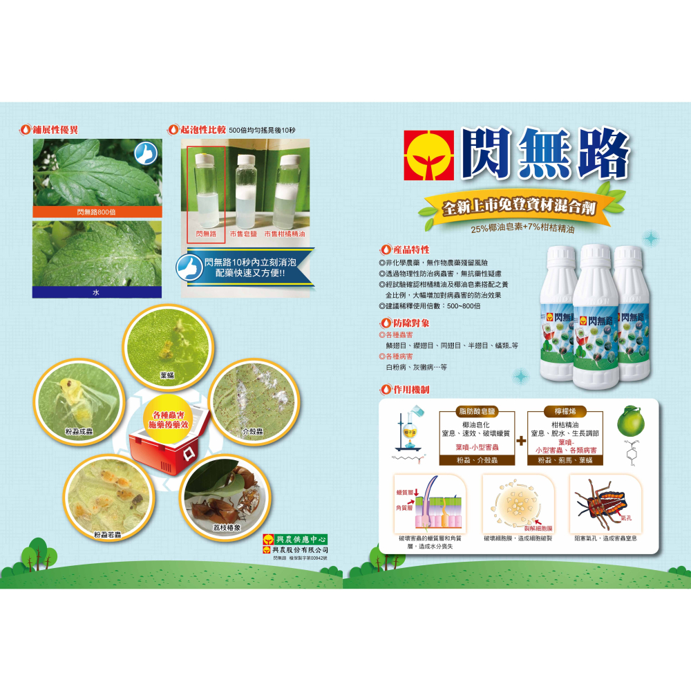 【新上市】【興農牌】閃無路 500ML 柑桔精油+椰油皂素黃金比例 微奈米技術 防治椿象 介殼蟲 粉蝨 葉蟎-細節圖4