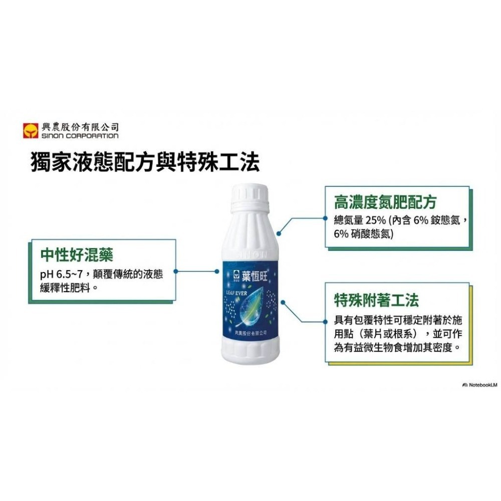 【興農牌】葉恆旺 500ML 氮肥 速緩兼具 葉肥(果樹 葉菜類 茶樹 花卉 觀賞植物 作物適用)-細節圖2