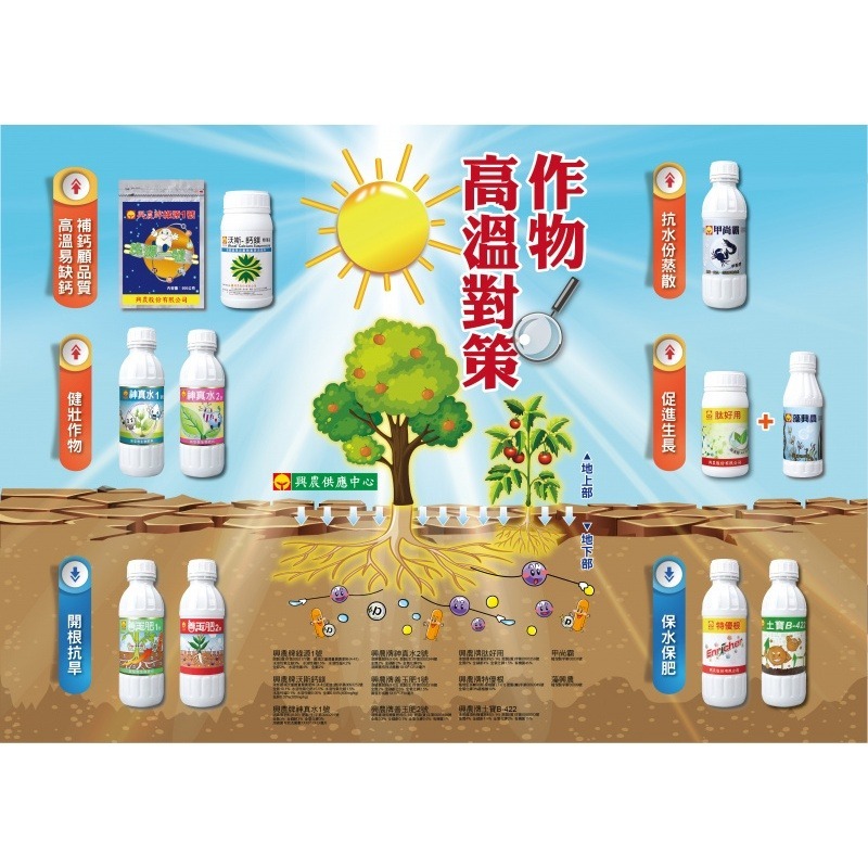 【興農牌】特根生+甲尚霸+沃斯鈣鎂組合 幼苗顧欉 降低植株陣亡率 幫助開根成長 抗逆境 木黴菌 甲殼素 微量元素-細節圖8