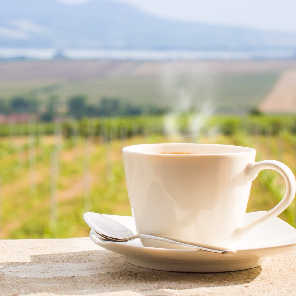 【聖德科斯】肯寶KB99-生機10穀營養奶（25g*28包/盒）-細節圖2