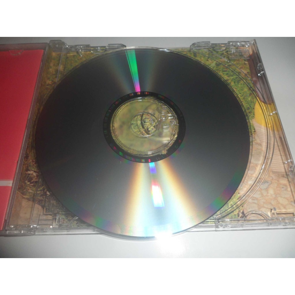 李玟 COCO 今天到永遠 CD專輯 + 完整 CD單曲 ( 光碟無傷很漂亮 )-細節圖3