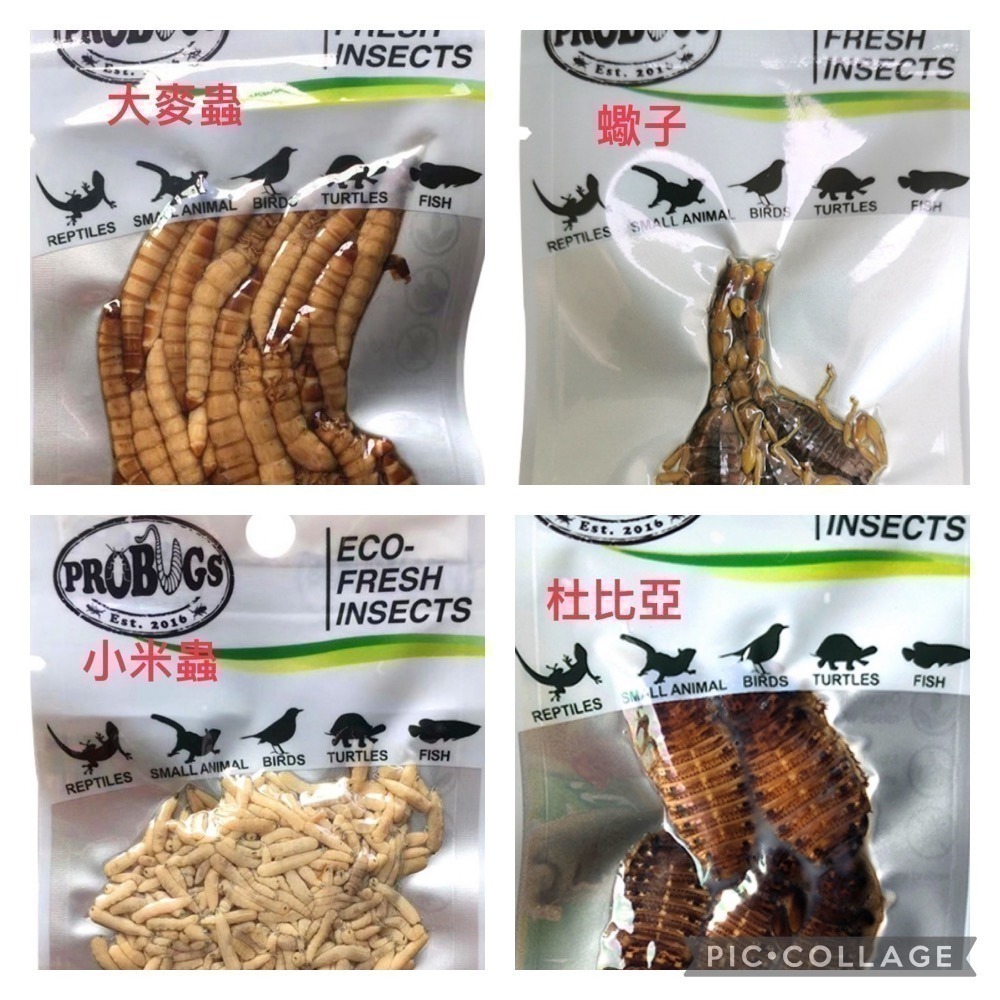 昆寶團購團12/28結單~ 未滿五包不發貨，品項請集中盡量不要超過六種~ 其他詳閱說明，感謝-細節圖3