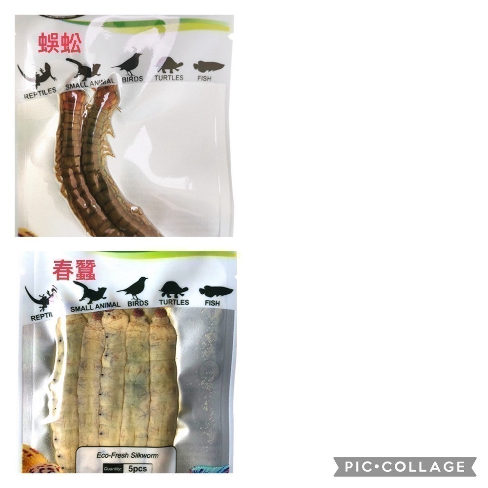 昆寶團購團12/28結單~ 未滿五包不發貨，品項請集中盡量不要超過六種~ 其他詳閱說明，感謝-細節圖5