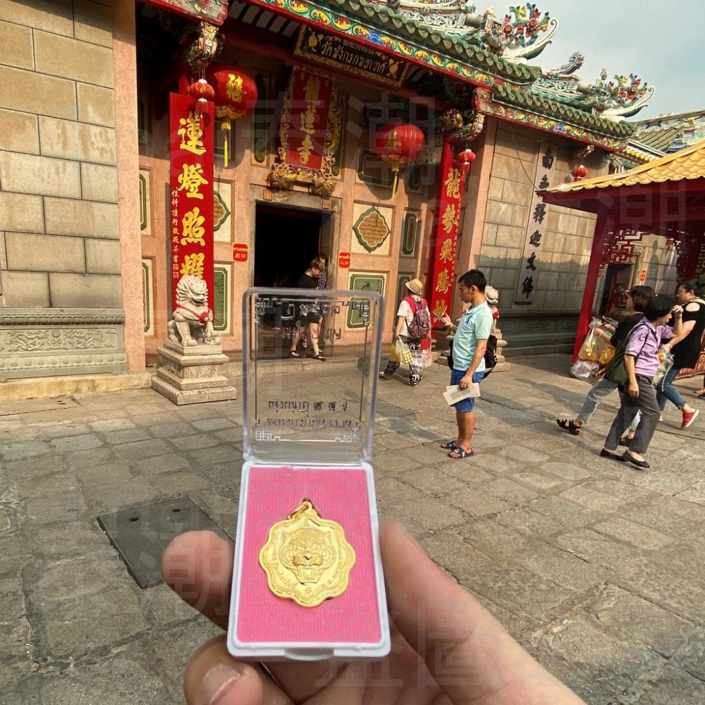 泰國 龍蓮寺 虎威 富貴豬 (附出廟盒)-細節圖4
