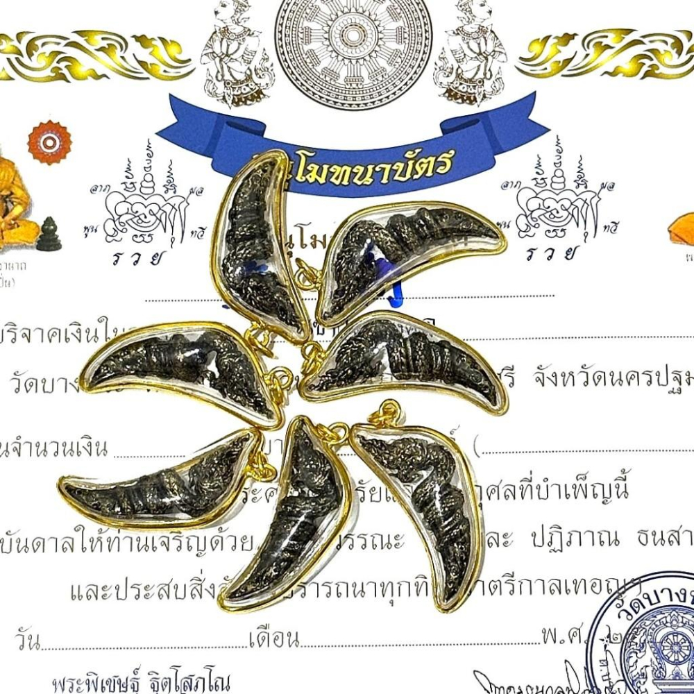 泰國 龍婆本廟 水龍 佛牌 娜迦之牙 月牙佛牌-細節圖3