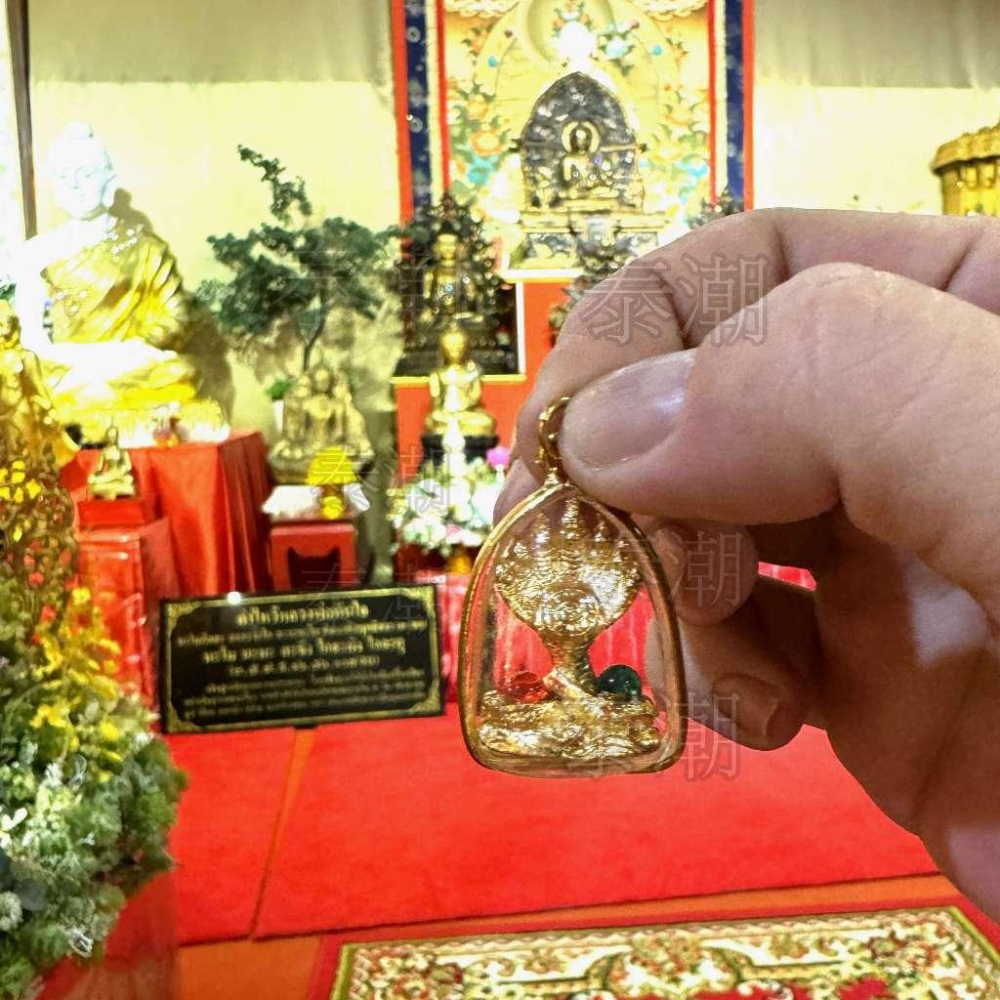 泰國 龍船寺 佛牌 帕雅納 納迦 招財富貴龜 清債龜-細節圖2