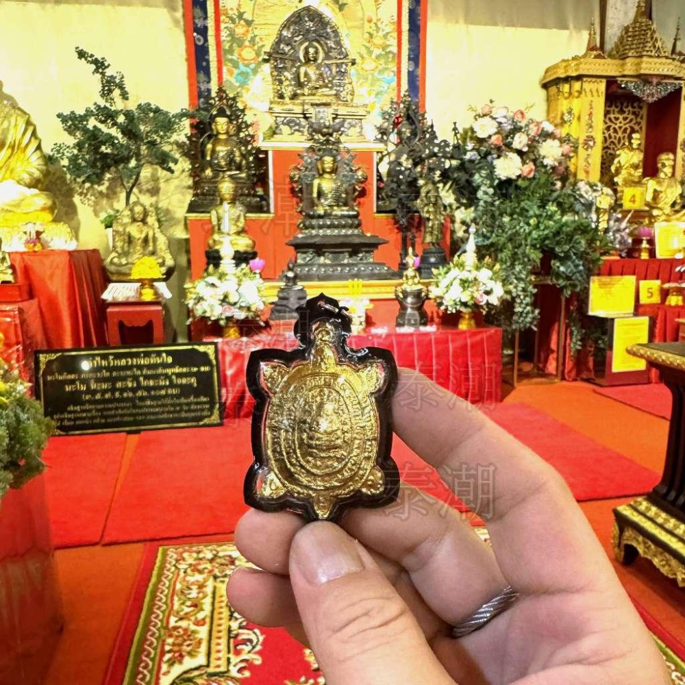 泰國 龍船寺 佛牌 帕雅納 納迦 招財富貴龜 清債龜-細節圖4