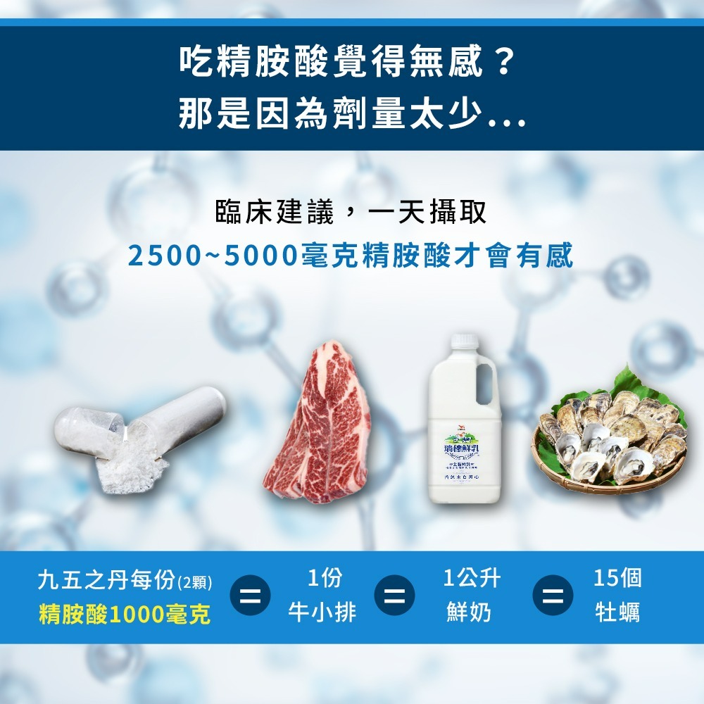 九五之丹 左旋精胺酸 1000mg 高純度99% 日本原料 男性元氣補給 30粒 運動族群 體力補給 調整體質 精氨酸-細節圖4