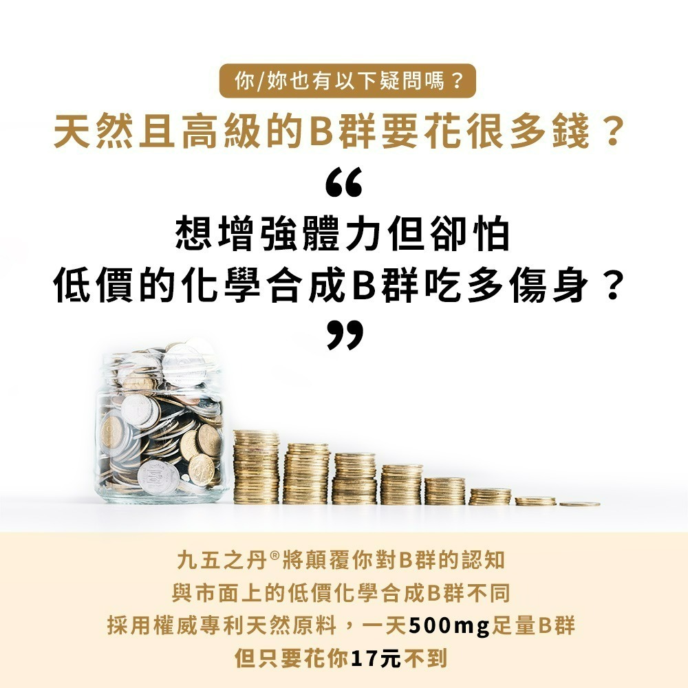 九五之丹 酵母B群+鋅 每包30顆 男性B群 酵母鋅 綜合維生素 男性保健 熬夜族 上班族 應酬族 日常活力補給-細節圖3