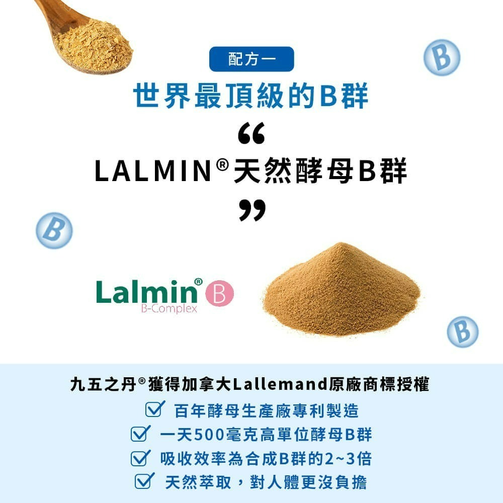 九五之丹 酵母B群+鋅 每包30顆 男性B群 酵母鋅 綜合維生素 男性保健 熬夜族 上班族 應酬族 日常活力補給-細節圖4
