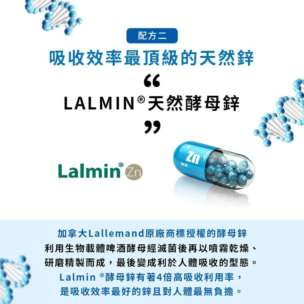 九五之丹 酵母B群+鋅 每包30顆 男性B群 酵母鋅 綜合維生素 男性保健 熬夜族 上班族 應酬族 日常活力補給-細節圖6