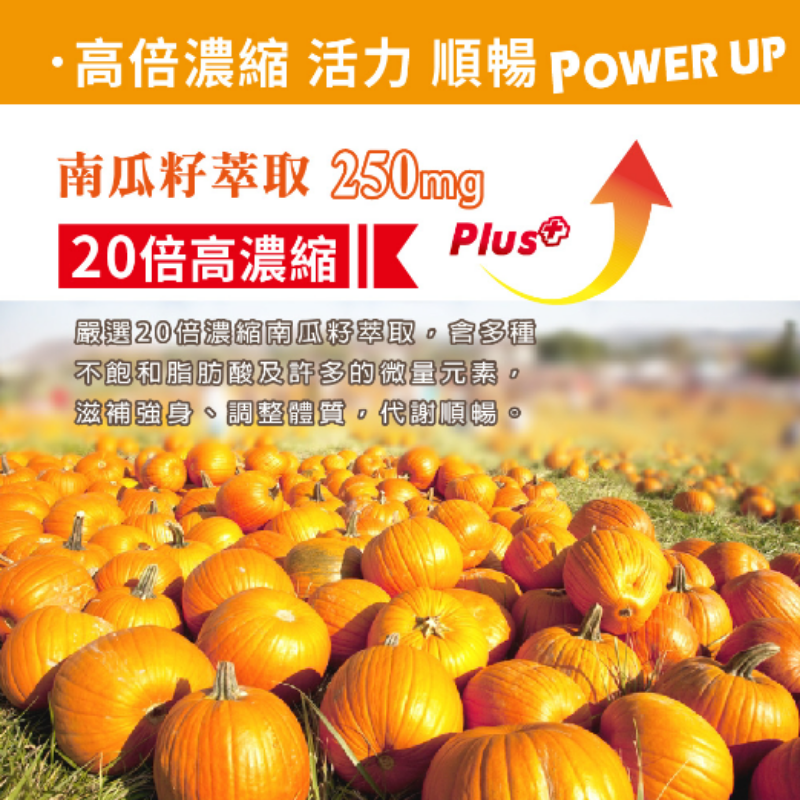 好朋友 【南瓜子膠囊】 攝利康 每盒30顆 20倍高濃縮 南瓜籽 茄紅素 蕁麻根 熟男保健 男性保健 南瓜子 攝護腺-細節圖3