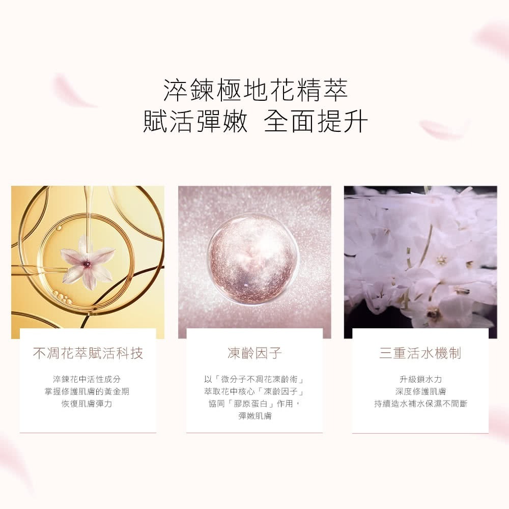 雅詩蘭黛 ESTEE LAUDER 白金級極萃賦活花秘乳霜-細節圖9