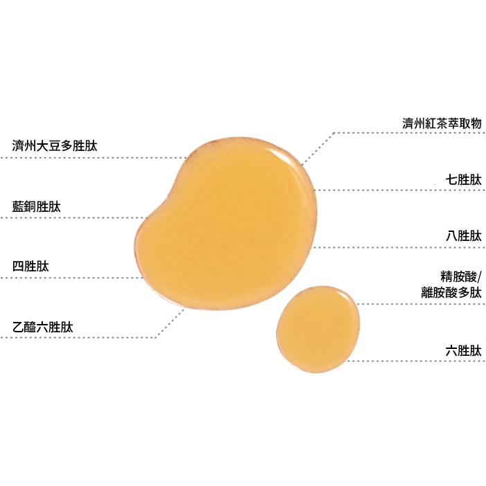 innisfree 紅茶極效修護晶露-細節圖3