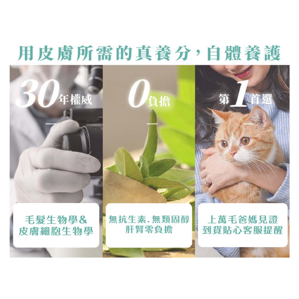 🌼🌸喵喵草花園🌻🌺🌸【GoodMo 歸毛家族】舒敏保濕洗毛乳300ml+護膚噴液+精萃修護霜組合-細節圖8