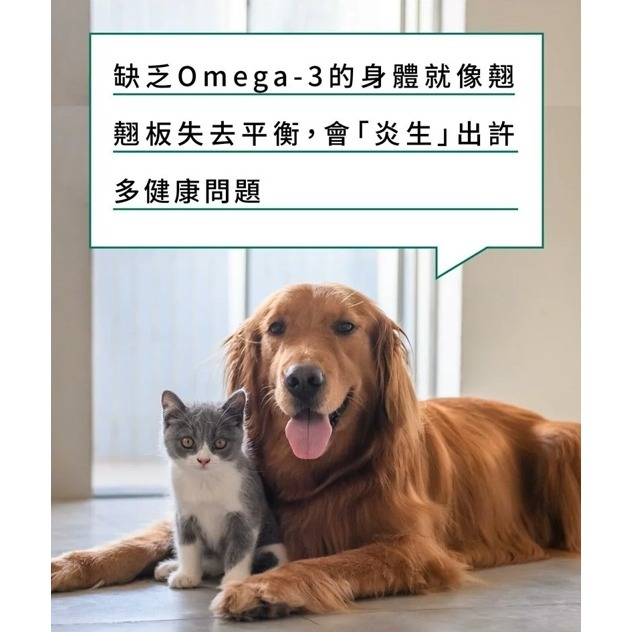 🌼🌸喵喵草花園🌻🌺🌸有效期限2026.10.14【寵立善】Natural10自然食犬貓專用RTG超級魚油-細節圖5