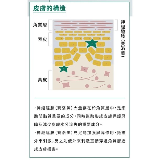 🌼🌸喵喵草花園🌻🌺🌸有效期限2026.09.01.【寵立善】 犬貓專用皮膚毛髮保健45G-細節圖10
