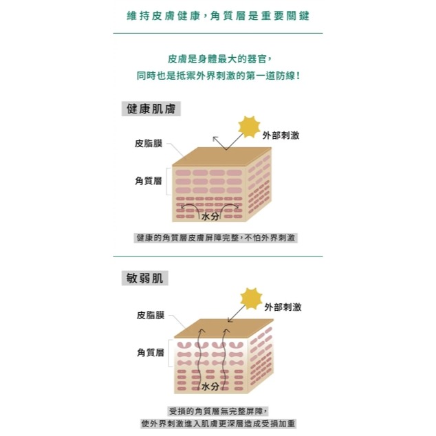 🌼🌸喵喵草花園🌻🌺🌸有效期限2025..10.19.【寵立善】 犬貓專用皮膚毛髮保健45G-細節圖5