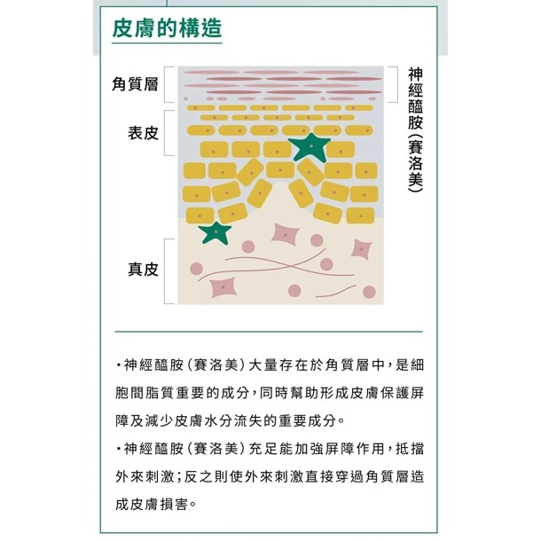 🌼🌸喵喵草花園🌻🌺🌸有效期限2025..10.19.【寵立善】 犬貓專用皮膚毛髮保健45G-細節圖10