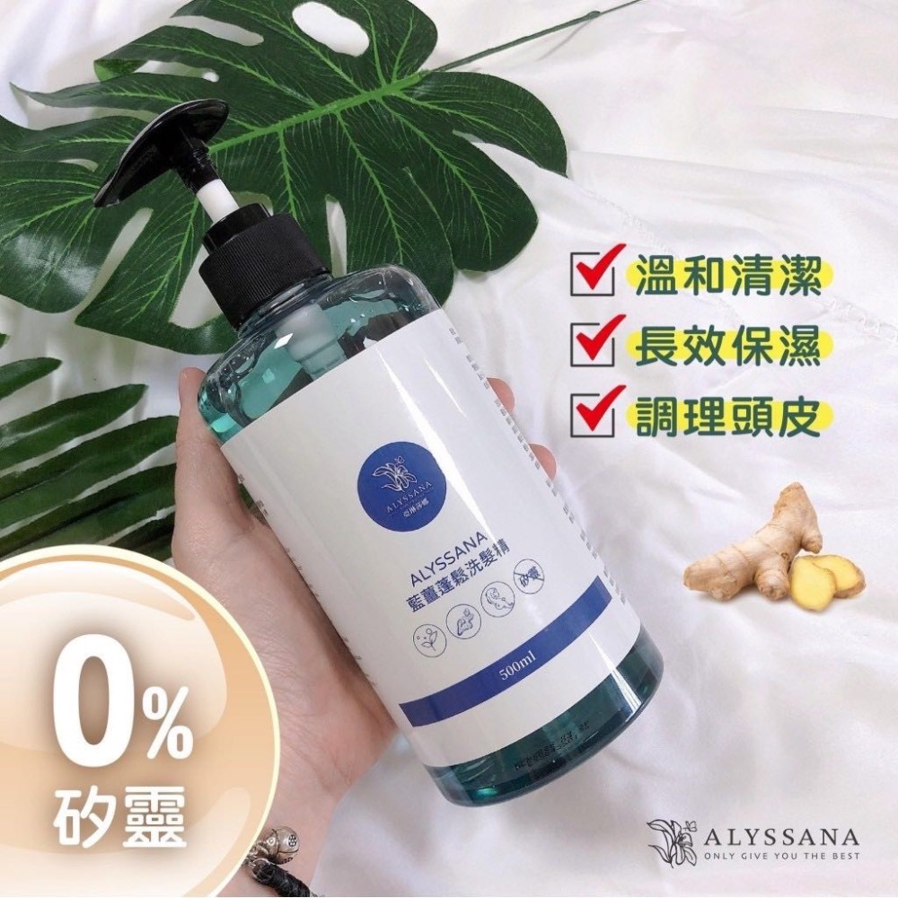 藍薑蓬鬆洗髮精500ml-細節圖2